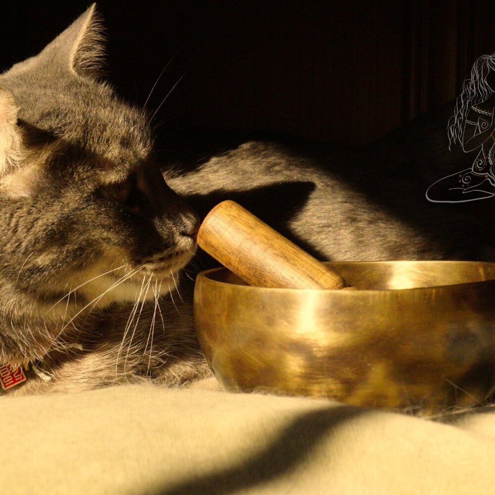 Authentic Brass Singing Bowl (Tiger Pattern) w/ Felt Stand & Journal ✨ - Picture 2 of 6